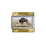 Buffalo Gold Trim Italian Charm (9mm)