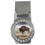 Buffalo Money Clip (CZ)