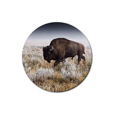 Buffalo Rubber Round Coaster (4 pack) from ArtsNow.com Front