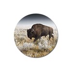 Buffalo Magnet 3  (Round)