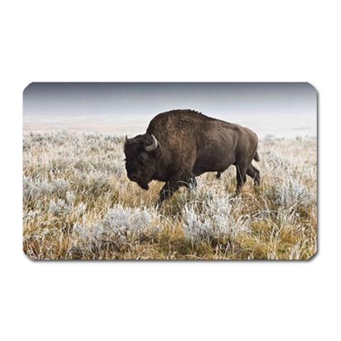 Buffalo Magnet (Rectangular) from ArtsNow.com Front