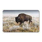 Buffalo Magnet (Rectangular)