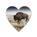 Buffalo Magnet (Heart)