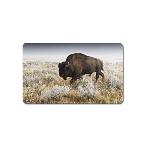 Buffalo Magnet (Name Card) from ArtsNow.com Front