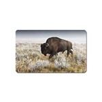 Buffalo Magnet (Name Card)