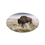 Buffalo Sticker Oval (10 pack)