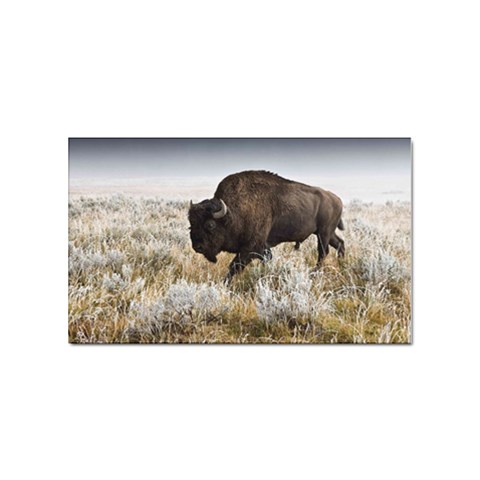 Buffalo Sticker Rectangular (10 pack) from ArtsNow.com Front