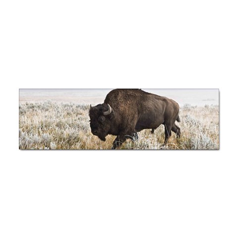 Buffalo Sticker Bumper (10 pack) from ArtsNow.com Front