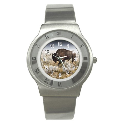 Buffalo Stainless Steel Watch from ArtsNow.com Front