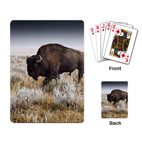 Buffalo Playing Cards Single Design from ArtsNow.com Back