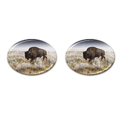 Buffalo Cufflinks (Oval) from ArtsNow.com Front(Pair)