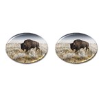 Buffalo Cufflinks (Oval)