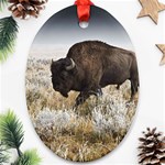 Buffalo Oval Ornament (Two Sides)