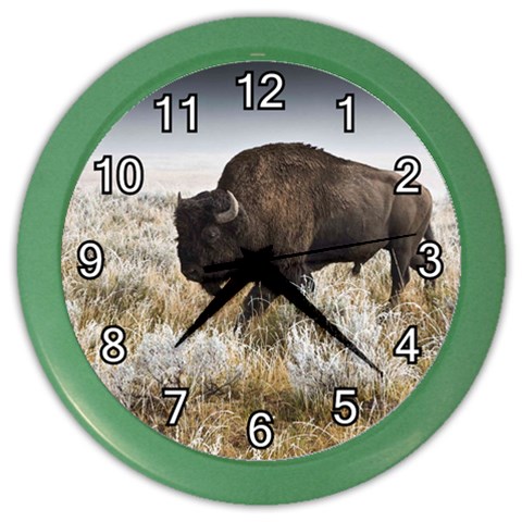 Buffalo Color Wall Clock from ArtsNow.com Front