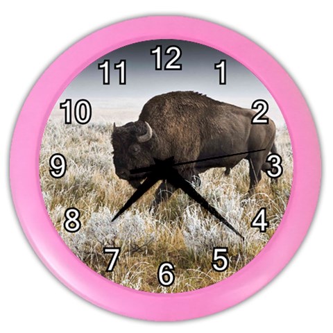 Buffalo Color Wall Clock from ArtsNow.com Front