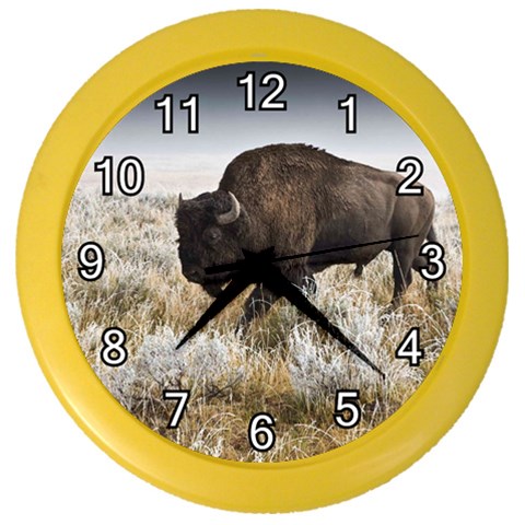 Buffalo Color Wall Clock from ArtsNow.com Front