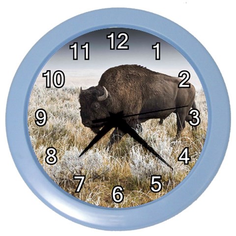 Buffalo Color Wall Clock from ArtsNow.com Front