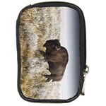 Buffalo Compact Camera Leather Case