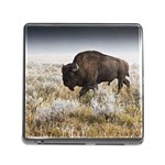 Buffalo Memory Card Reader with Storage (Square)