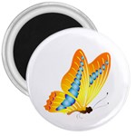 Yellow and Blue Butterfly 3  Magnet