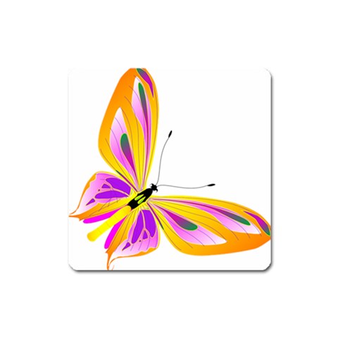 Orange and Purple Butterfly Magnet (Square) from ArtsNow.com Front