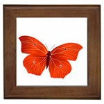 Red Butterfly Framed Tile