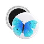 Blue Butterfly 2.25  Magnet