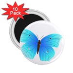 Blue Butterfly 2.25  Magnet (10 pack)