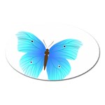 Blue Butterfly Magnet (Oval)