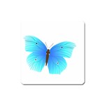 Blue Butterfly Magnet (Square)