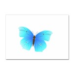 Blue Butterfly Sticker A4 (10 pack)