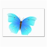 Blue Butterfly Postcard 4  x 6 