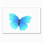 Blue Butterfly Postcard 5  x 7 