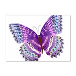 Purple Butterfly Sticker A4 (10 pack)