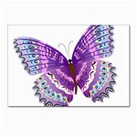 Purple Butterfly Postcard 4  x 6 