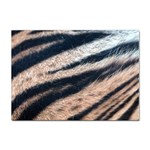 Tiger Skin Sticker A4 (100 pack)