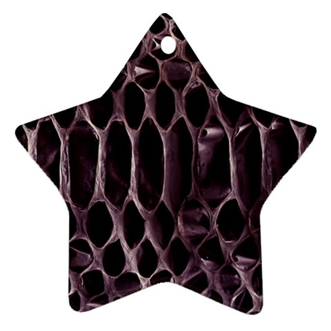 Snake Skin 3 Ornament (Star) from ArtsNow.com Front