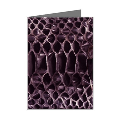 Snake Skin 3 Mini Greeting Card from ArtsNow.com Left