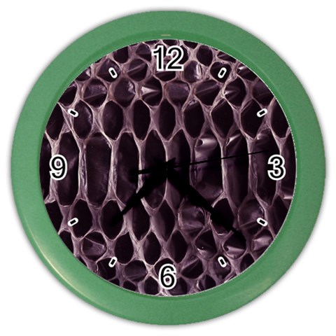 Snake Skin 3 Color Wall Clock from ArtsNow.com Front