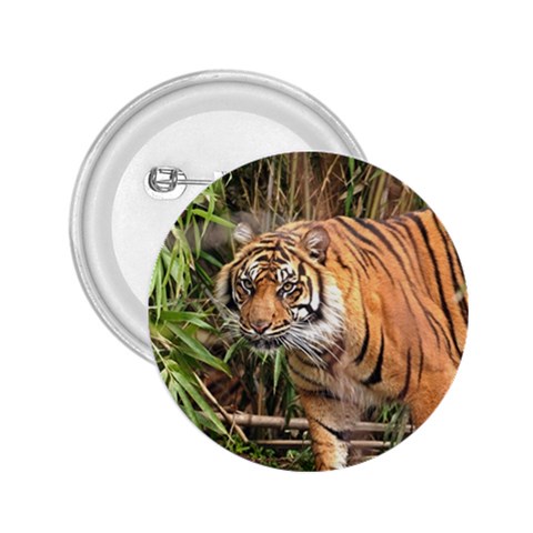 Tiger 1 2.25  Button from ArtsNow.com Front