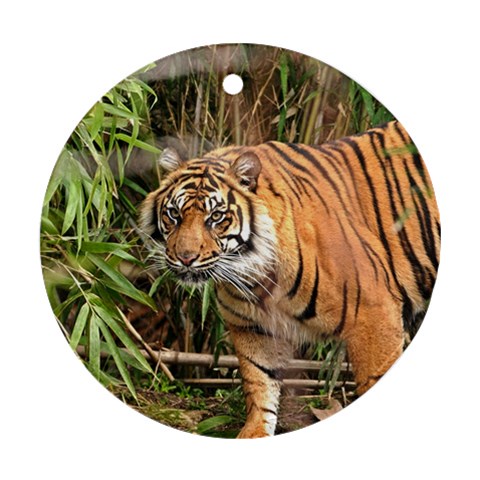 Tiger 1 Ornament (Round) from ArtsNow.com Front