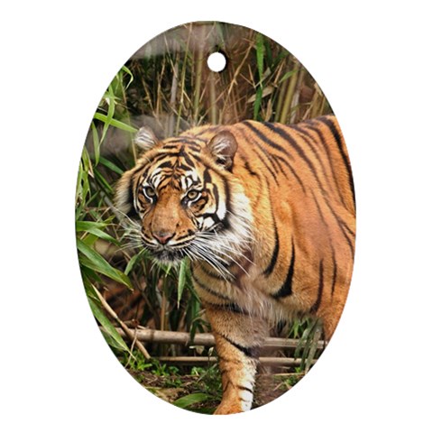 Tiger 1 Ornament (Oval) from ArtsNow.com Front