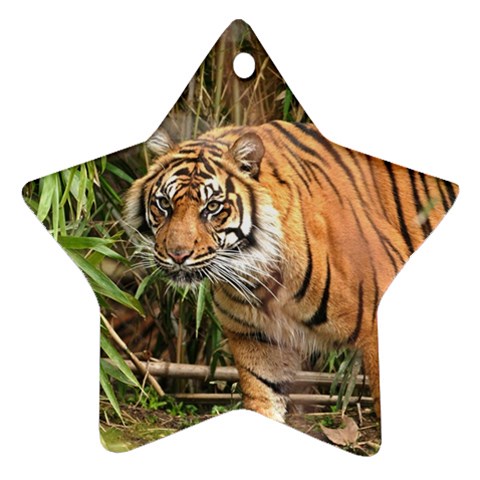 Tiger 1 Ornament (Star) from ArtsNow.com Front