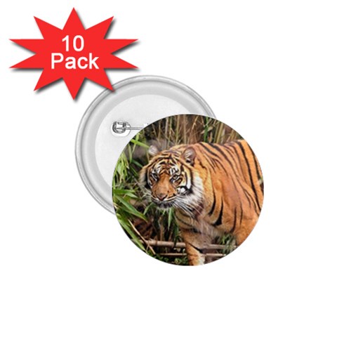 Tiger 1 1.75  Button (10 pack)  from ArtsNow.com Front