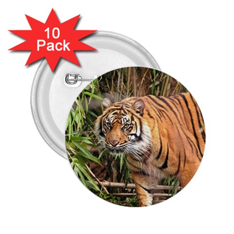 Tiger 1 2.25  Button (10 pack) from ArtsNow.com Front