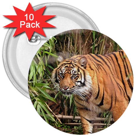 Tiger 1 3  Button (10 pack) from ArtsNow.com Front