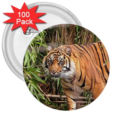 Tiger 1 3  Button (100 pack) from ArtsNow.com Front