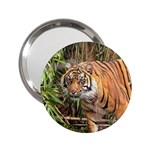 Tiger 1 2.25  Handbag Mirror