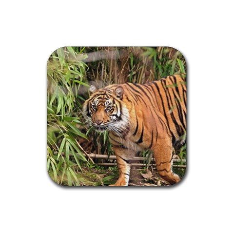 Tiger 1 Rubber Coaster (Square) from ArtsNow.com Front