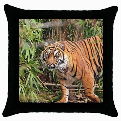 Tiger 1 Throw Pillow Case (Black) from ArtsNow.com Front